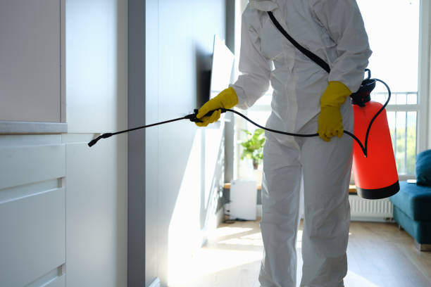 Professional Mold Inspection, Removal & Remediation in Laton, CA